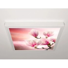 Resim Gök Panel 60X60 LED Panel Sıva Üstü Desenli Tekli 46510007SU 