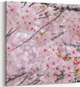 Resim Olla 25x25 Cm 11556k Çiçek Görseli Kare Kanvas Tablo 