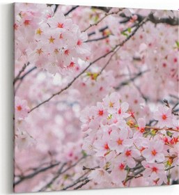 Resim Olla 25x25 Cm 11556k Çiçek Görseli Kare Kanvas Tablo 