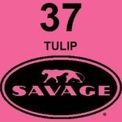 Resim Savage (U.S.A) Stüdyo Kağıt Fon Tulip 271x1100 cm 