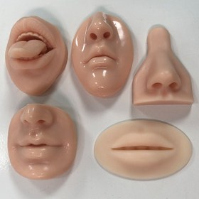 Resim Silikon Burun ve Ağız Modelleri, Düğme, Dövme ve Akupunktur Uygulama İçin - Eğitici ve Eğitici Anatomik Özellikler, Eğitim ve Eğitici Aksesuarlar | Anatomik Modeller | Pürüzsüz Dokunuş 
