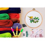 Resim Punch Seti Nakış Seti Kasnaklı Kendin Yap Seti Seri 31 