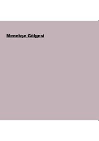Resim Marshall Sil-pak Plus İç Cephe Boyası Menekşe Gölgesi 15l 15 L 