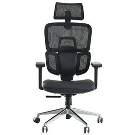 Resim Venice Profesyonel Premium Yönetici Koltuğu Ergonomik 