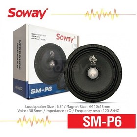 Resim Soway P6 16 Cm Kurşun Göbek Profesyonel Midrange 300w 100rms 2adt 