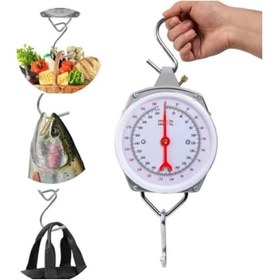 Resim 100 Kg Kapasiteli Askılı Terazi - Dayanıklı, Net Kadranlı, Çift Ölçü Birimli, Endüstriyel Ve Dış Mekan Uyumlu 