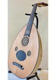 Resim Profesyonel Kelebek Ud 