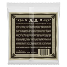 Resim Ernie Ball 2070 Earthwood Phosphor Bronze Akustik Bas Gitar Teli (45-95) 