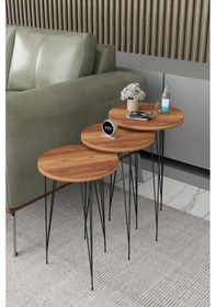 Resim Zigon Sehpa 3'lü Yuvarlak Siyah Tel Ayaklı Ceviz 