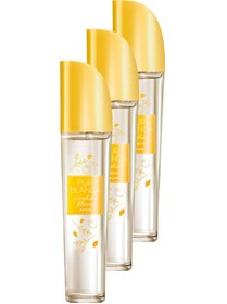 Resim Avon Pur Blanca Sunshine Bloom Kadın Parfüm Edt 50 Ml. Üçlü Set 