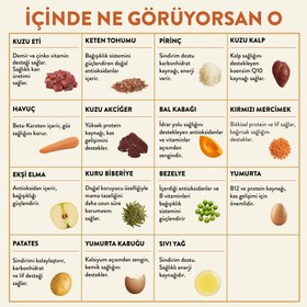 Resim Kuzu Etli Yetişkin Köpek Maması 15 Kg + 6 Adet Kito Fresh Kuzu Etli %100 Taze İçerikli Mama 