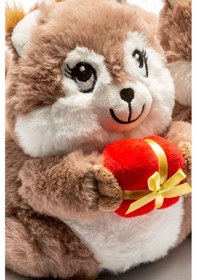 Resim Twigy Sincap Kadın Panduf Kahverengi 36/41 CC0628 Kahverengi 