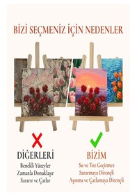 Resim Resim Verniği 70 Ml Su Bazlı 4 Adet Ve Yassı Patpat Sünger Fırça Seti 3 Lü 1 Paket Resim Parlatıcı Vernik Hobi Sanat 