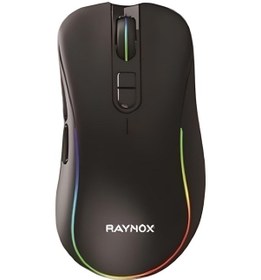 Resim Raynox RX-GM900 RGB Optik Oyuncu Mouse 