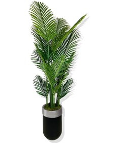 Resim Cihan Çiçekçilik Areka Yapay Ağaç 200-220 Cm Darbuka Saksı 