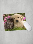 Resim Panorama Ajans Sevimli Hayvanlar Kedi Köpek Arkadaş Dost Mouse Pad 