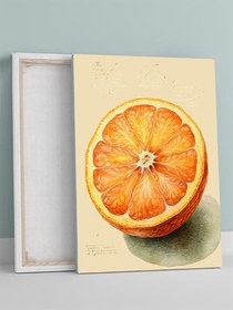 Resim Citrus Bloom, Portakal Çiçeği, Dijital Sanat Mutfak Kanvas Tablo - Tuval Tablo 
