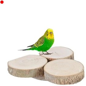 Resim NETWORK ART Doğal Ağaç Kuş Tüneği - Kafes Aksesuarı 