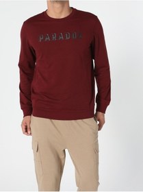 Resim Colin's Regular Fit Kabartmalı Yazı Turuncu Erkek Sweatshirt cl1055790_Q1.V2_COR Kahverengi 