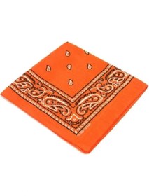 Resim Shopiolog Etnik Desenli Bandana 