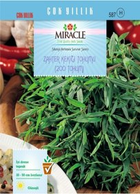 Resim Miracle Zahter Kekiği Tohumu 200 Tohum 