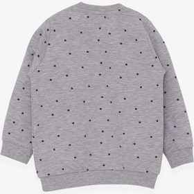 Resim Breeze Kız Bebek Sweatshirt Mutlu Kedicikler 4 Ay-1.5 Yaş, Gri Melanj Gri Melanj 
