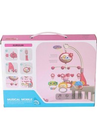 Resim Vardem Işıklı Müzikli Bebek Dönencesi Pembe 