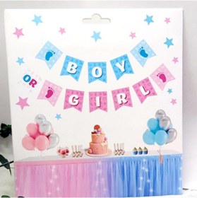 Resim Cinsiyet Partisi Erkke Mi Kızmı Boy Girl Banner 