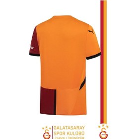 Resim Galatasaray Lisanslı 24/25 Parçalı Forma Aslan Baskılı Ahşap Kutulu Sarı - Kırmızı 