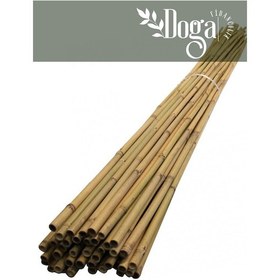 Resim 10 Adet Bambu Bitki Fidan Destek Çubuğu 190 - 200 Cm 