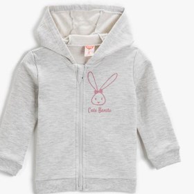Resim Kız Bebek Fermuarlı Kapüşonlu Sweatshirt Uzun Kollu 