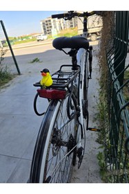 Resim 3dfabrick Asi Ördek Bisiklet Aksesuar Gidona Takılabilen 