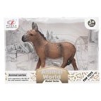 Resim Animal World Eşek 