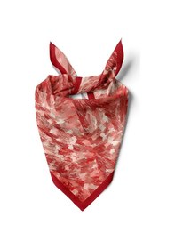 Resim Red Aura Desen Bandana/fular Çok Renkli 