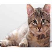Resim Fortunelane Kedi Desenli Anti-skayma Mouse Pad - 18x22cm, 9 Farklı Kedi Resmi, Yumuşak Temizlenebilir, Oyun Çalışma İçin Diğer 