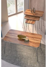 Resim Uslucan Alışveriş Zigon Sehpa Kr Ve Orta Sehpa Kr Set Gümüş Ceviz Tel Çok Renkli 