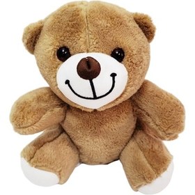 Resim Sevimli Peluş Ayicik Tdrtr Sezonsuz 