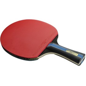 Resim Shineyee Huisheng Dört Yıldızlı Masa Tenisi Raketi: Uzun Saplı Cross , Çift Taraflı Kauçuk, Baştan İlerleyenler İçin, Orjinal Çanta İle Tamamlanmıştır 