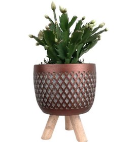 Resim Ayaklı Bakır Saksıda Beyaz Yılbaşı Çiçeği 