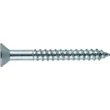 Resim Aesco The Group 40037 6-Inç x 2-1/2-Inç Düz Başlı Phillips Ahşap Vida, 100'LÜ Paket, Çinko 