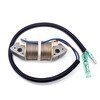 Resim Tomking TK098-S-TK098-L Deniz Motoru Elektronik Bobin 