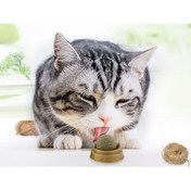 Resim Kedi Nanesi Oyun Topu 