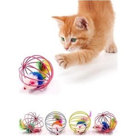Resim Adipa Dr Kafesli Renkli Fareli Kedi Köpek Oyun Topu 6 Cm 