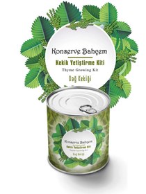 Resim Leyaton BUFFER® Konserve Bahçem Evde Konservede Kekik Dağ Kekiği Yetiştirme Kiti RVRYT-RS345 