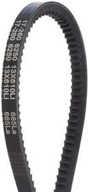 Resim Çizim AX24.12 (13 X 625li) Tırtıklı Vbel Kesit Kenar Kayışı Satın Alın 