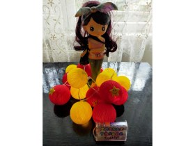 Resim Işıklı Toplar Türkiye Montessori Işıklı Toplar 3 Metre 20 Top 