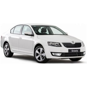 Resim Skoda Octavia Bagaj Havuzu 