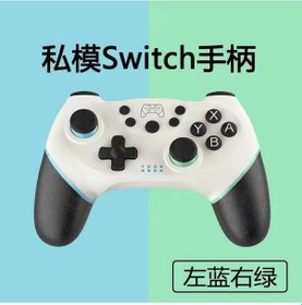 Resim Maiyame Private Model Switch Pro Kablosuz Bluetooth Oyun Kumandası - Uyandırma 6 Eksenli Sensör Sol Mavi Sağ Yeşil Dongsen 