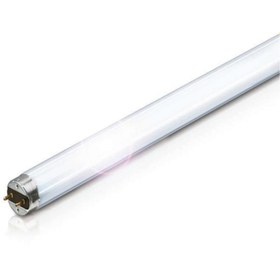 Resim Philips Phılıps 18/54 Snow Whıte Floresan Beyaz (25 Adet) 