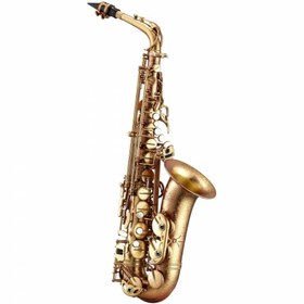 Resim Antigua AS4248 SF Alto Saksafon (Eb) 
